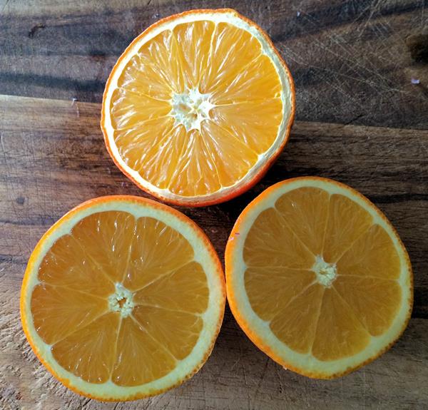 Cranberry Ketchup Recipe Cuisine Fiend